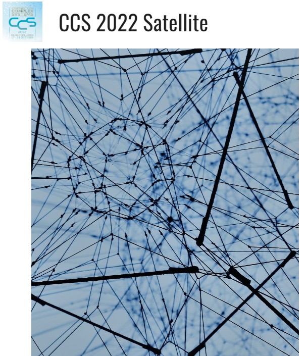 ARTIFICIAL INTELLIGENCE  IN COMPLEX NETWORKS