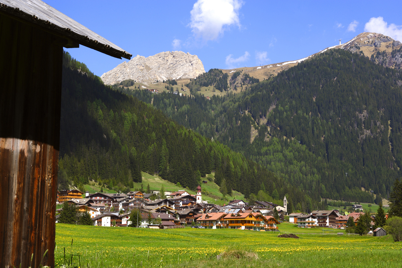 Dynamic Models in Economics and Finance